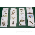 The Nature of Biological Communities, Magnetic Demonstration Cards